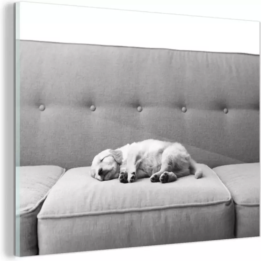 MuchoWow Glasschilderij Slapende puppy op de bank zwart wit 120x90 cm Acrylglas Schilderijen Foto op Glas