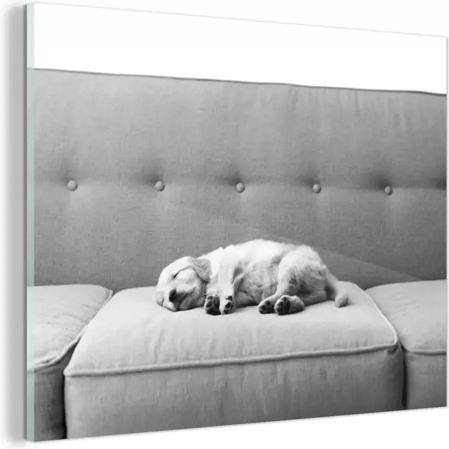 MuchoWow Glasschilderij Slapende puppy op de bank zwart wit 160x120 cm Acrylglas Schilderijen Foto op Glas