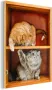 MuchoWow Glasschilderij 120x160 cm Schilderij acrylglas Speelse kittens in de kast Foto op glas Schilderijen - Thumbnail 2