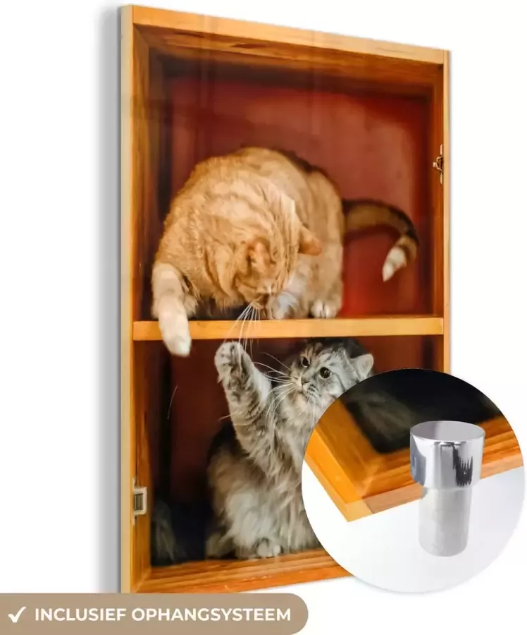 MuchoWow Glasschilderij 30x40 cm Schilderij glas Speelse kittens in de kast Foto op acrylglas Schilderijen