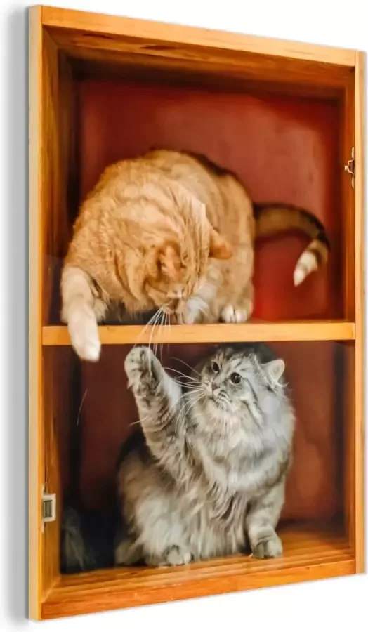 MuchoWow Glasschilderij Speelse kittens in de kast 30x40 cm Acrylglas Schilderijen Foto op Glas