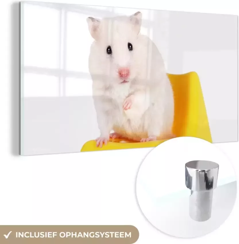 MuchoWow Glasschilderij Witte hamster op een gele stoel 120x60 cm Acrylglas Schilderijen Foto op Glas