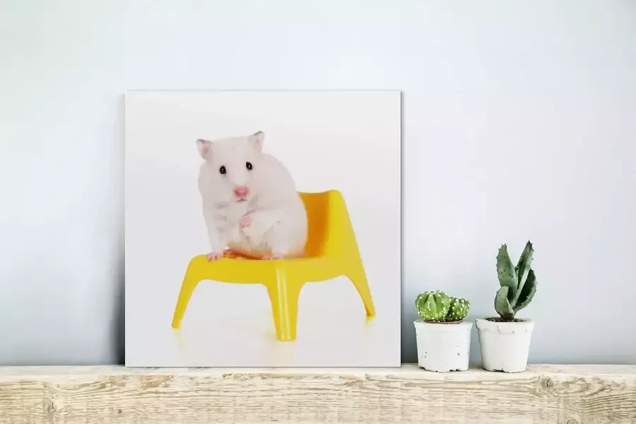 MuchoWow Glasschilderij Witte hamster op een gele stoel 20x20 cm Acrylglas Schilderijen Foto op Glas