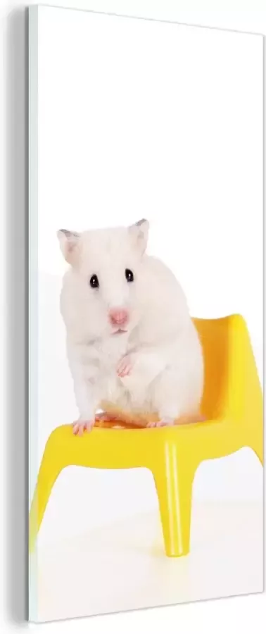 MuchoWow Glasschilderij Witte hamster op een gele stoel 40x80 cm Acrylglas Schilderijen Foto op Glas