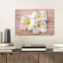 MuchoWow Glasschilderij 30x20 cm Schilderij acrylglas Witte plumeria bloemen op een houten tafel Foto op glas Schilderijen - Thumbnail 2