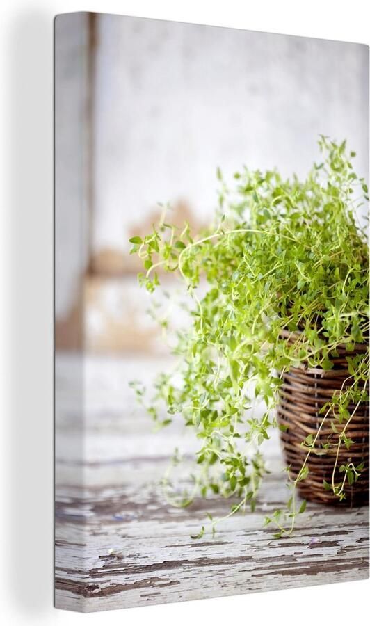 MuchoWow Canvas schilderij 120x180 cm Wanddecoratie Rieten mand met de lichtgroene tijm planten op een rustieke tafel Muurdecoratie woonkamer Slaapkamer decoratie Kamer accessoires Schilderijen