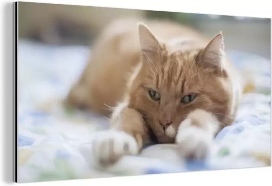 MuchoWow Wanddecoratie Metaal Aluminium Schilderij Industrieel Kat Bed Bedsprei Meisjes Kinderen Jongens Kind 60x40 cm Dibond Foto op aluminium Industriële muurdecoratie Voor de woonkamer slaapkamer