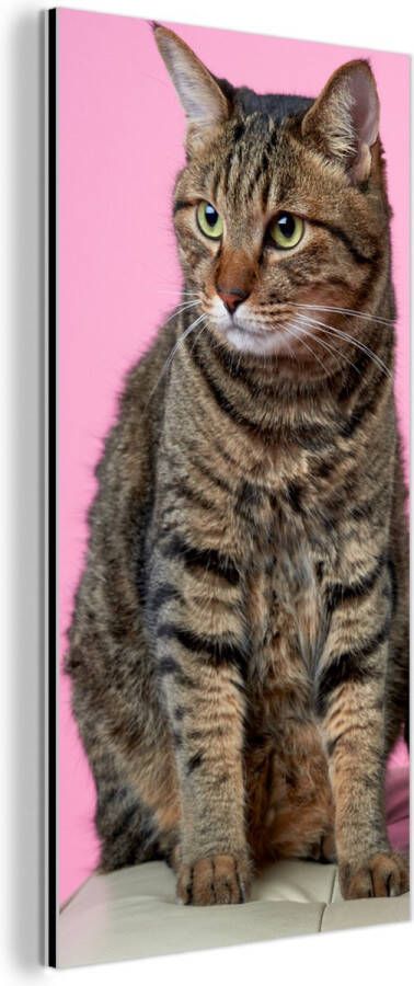 MuchoWow Wanddecoratie Metaal Aluminium Schilderij Industrieel Kat Roze Poef Meisjes Kinderen Meiden Kind 40x80 cm Dibond Foto op aluminium Industriële muurdecoratie Voor de woonkamer slaapkamer