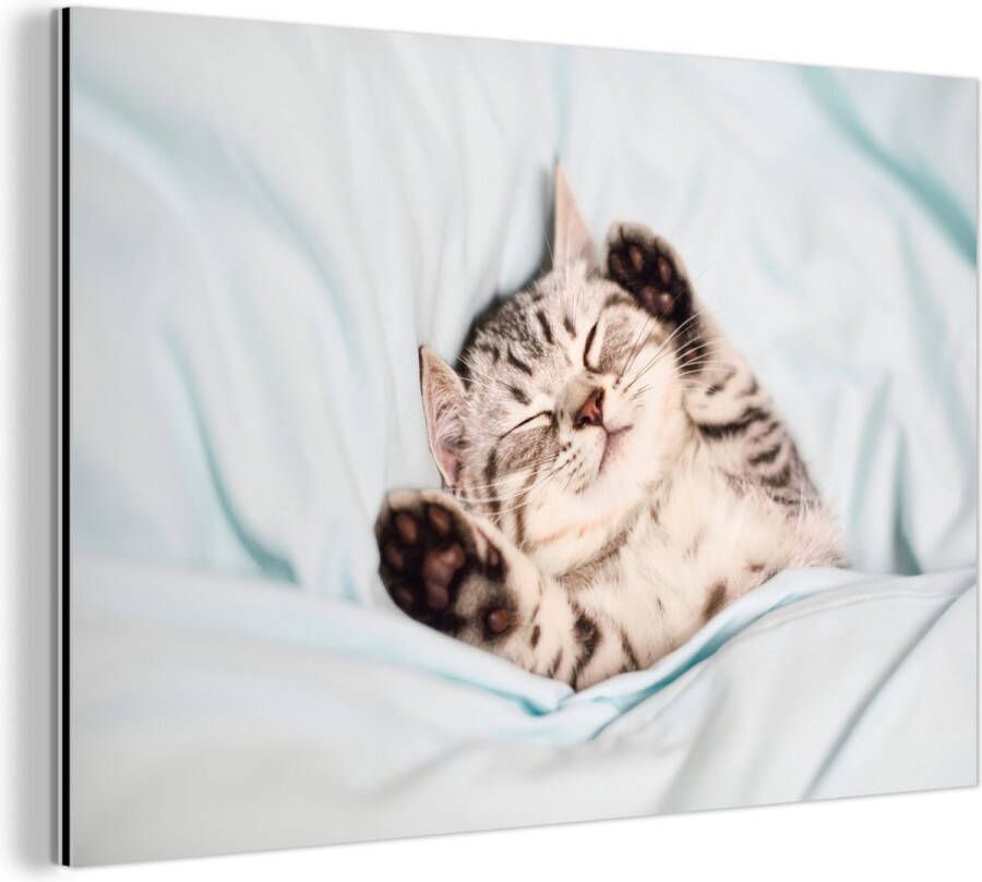 MuchoWow Wanddecoratie Metaal Aluminium Schilderij Industrieel Kitten Bed Poten Meisjes Kinderen Jongens Kind 150x100 cm Dibond Foto op aluminium Industriële muurdecoratie Voor de woonkamer slaapkamer