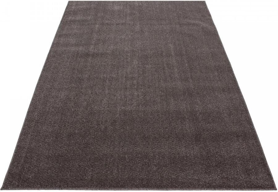 Muratap Tapijtenloods Basics Effen Vloerkleed Bruin Laagpolig- 120x170 CM