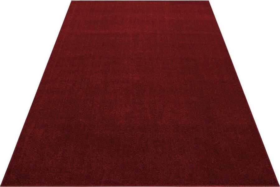 Muratap Tapijtenloods Basics Effen Vloerkleed Rood Laagpolig- 160x230 CM