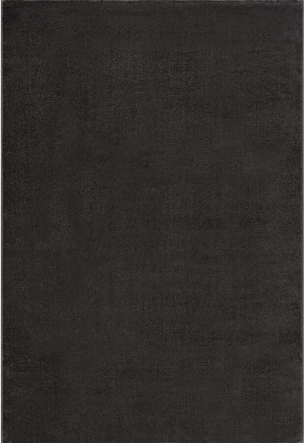 Muratap Tapijtenloods Uni Effen Laagpolig Vloerkleed Modern Donker Grijs- 250x250 CM Vierkant