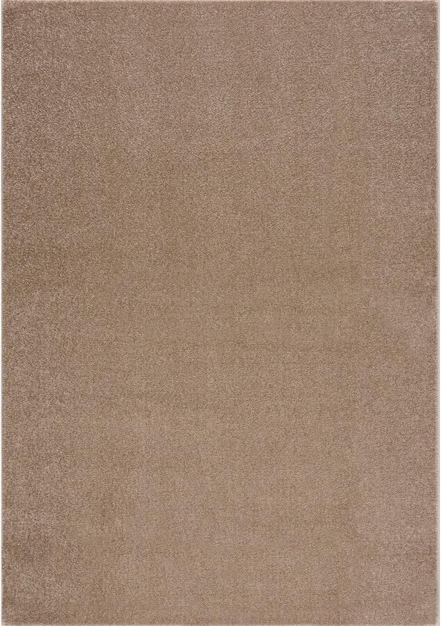 Muratap Tapijtenloods Uni Effen Vloerkleed Laagpolig Beige 240x340 CM Modern Vloerkleed Laagpolig Tapijt