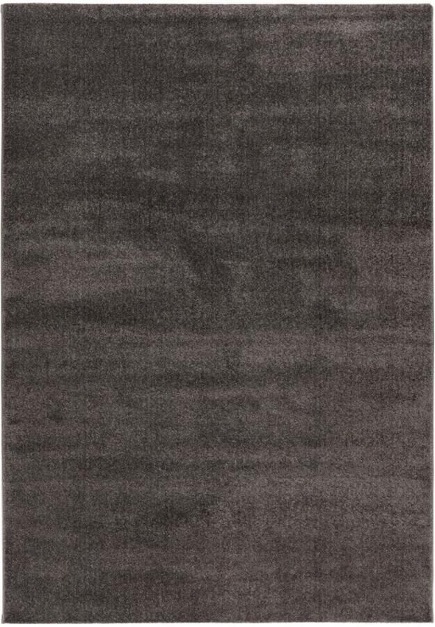 Muratap Trendy Home Uni Modern Vloerkleed Effen Laagpolig Velours Hoge dichtheid Soft Touch Grijs- 120x170 CM