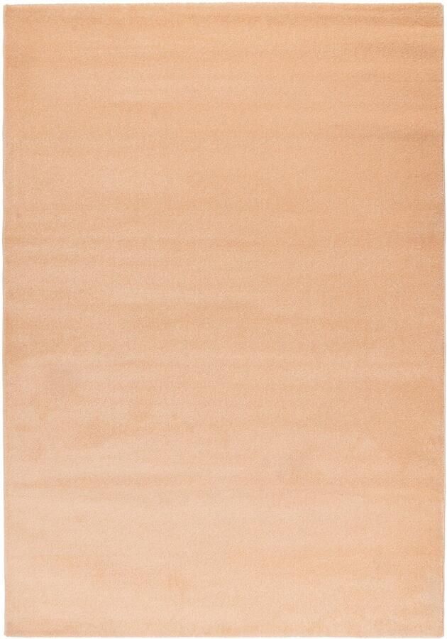 Muratap Trendy Home Uni Modern Vloerkleed Effen Laagpolig Velours Hoge dichtheid Soft Touch Perzik Oranje- 200x290 CM