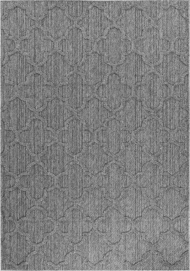 Muratap Natur Vloerkleed Patara Buitenkleed Sisal Laagpolig Indoor en Outdoor Grijs- 160x230 CM - Foto 2