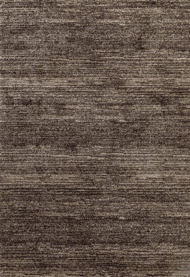 Muratap Tapijtenloods Loft Modern Effen Bruin vloerkleed Laagpolig- 200x290 CM