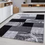 Muratap Tapijtenloods Parma Design Vloerkleed Zwart Grijs Laagpolig- 200x290 CM - Thumbnail 9