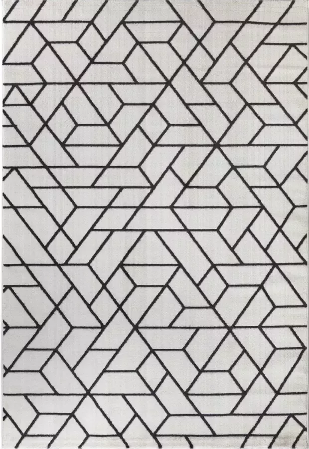 Muratap Tapijtenloods Passion Exclusief Vloerkleed Wit Zwart Laagpolig 80x150 CM