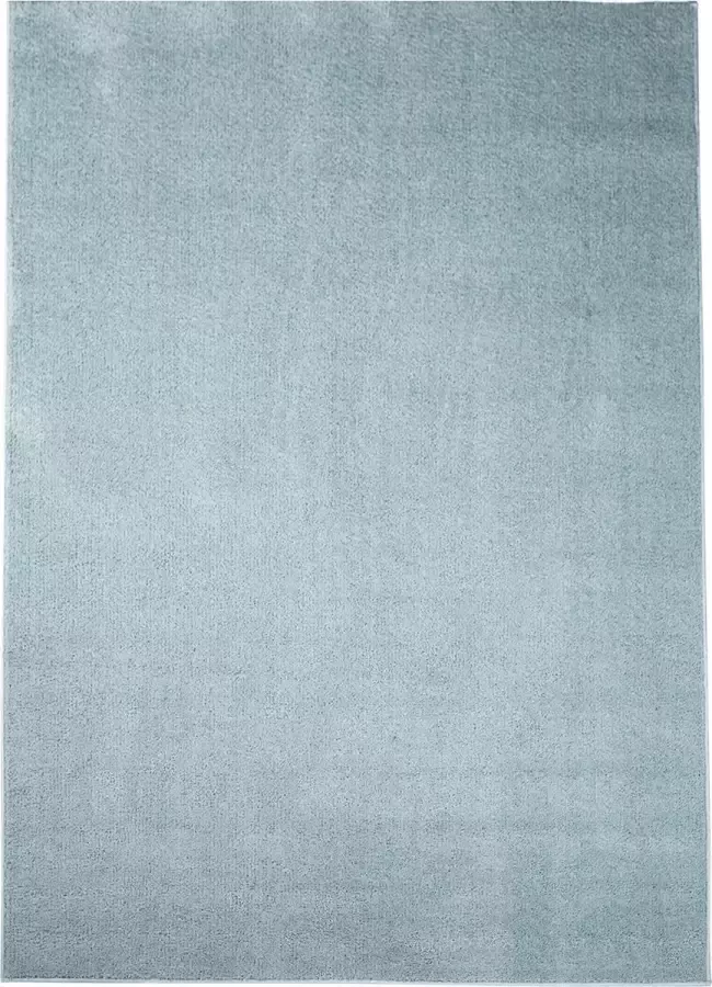 Muratap Tapijtenloods Shaggy Micro Polyester Hoogpolig Effen Pastel Blauw 120x170 CM