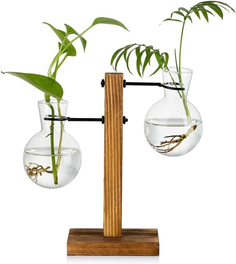 #N Voortplantingsstation met Houten Rek & 2 Glazen Lampen – Vintage Hydrocultuur Bloemenvaas