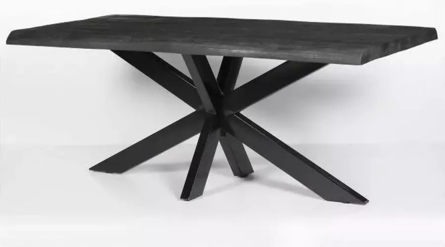 Nancy's Ansonia Tafel Eetkamertafel Rechthoekige tafel Mangohout 220 x 100 x 76