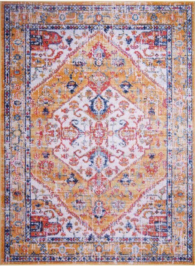 Netline Home Vintage Tapijt Voor Woonkamer Slaapkamer Keuken Eetkamer Oosters Designtapijt Zacht medium stapel Traditioneel Vintage Vloerkleed Vlekbestendig (Multicolor 160x230 CM)