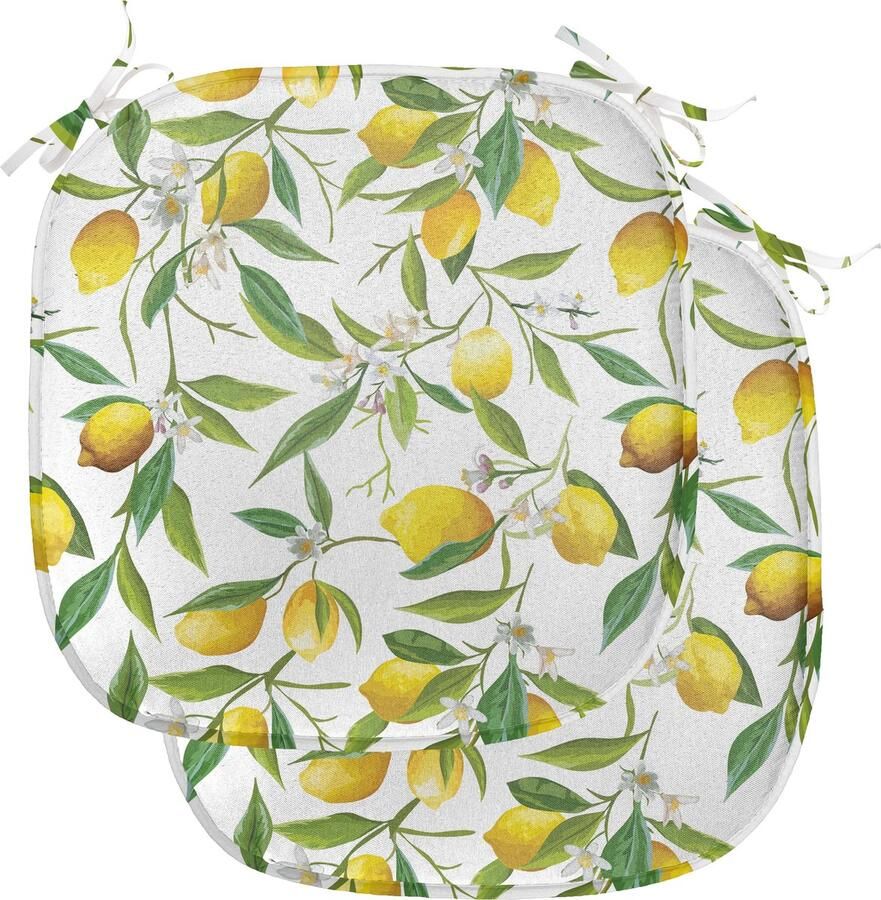 New Bed Natuur Citroen houtachtig romantisch Stoelkussen Set van 2 Anti-Slip Zitting Pad 40 cm x 40 cm