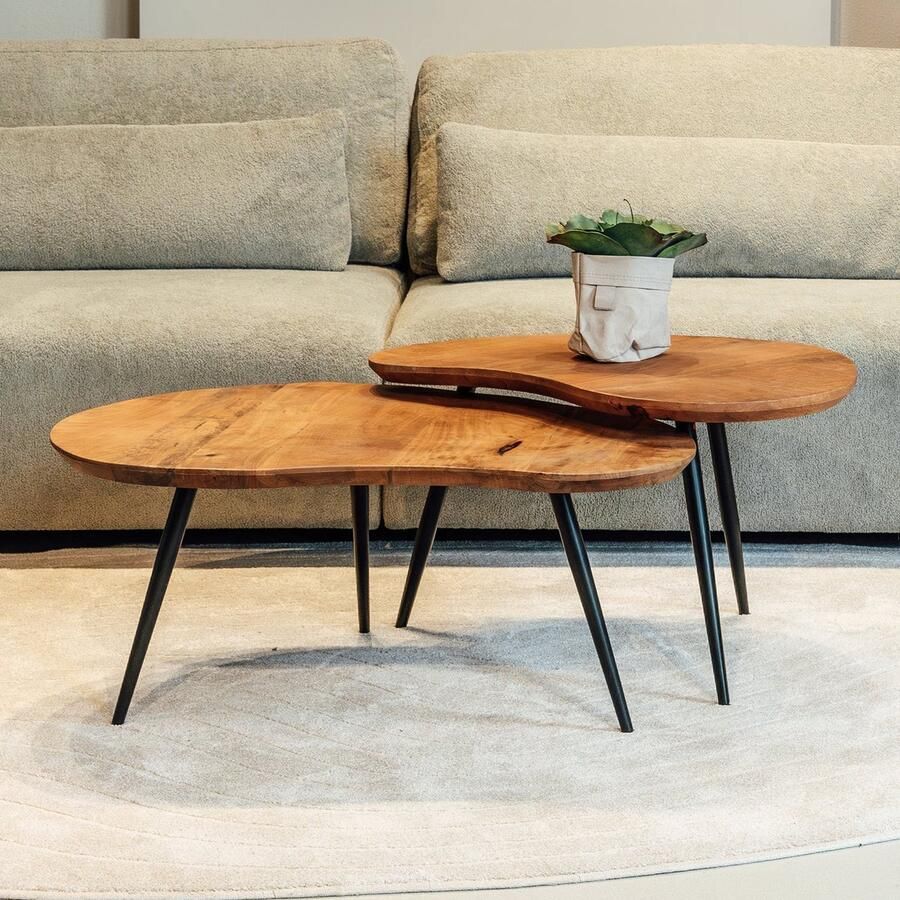 Nijwie Salontafel Erfurt Naturel Mangohout set van 2