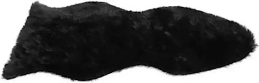 Non Branded Non-branded Vloerkleed Jozias 30 X 50 Cm Fleece Zwart