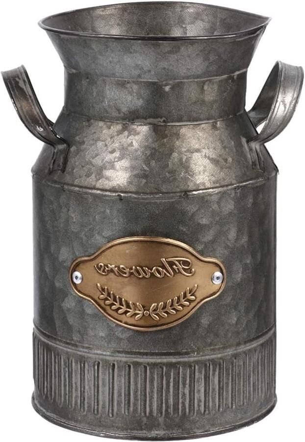 Rustieke metalen bloemenvaas Boerderij Franse emmer bloempot tin irrigatie melkkannetje Tafel hart voor vetplanten bloemenarrangement