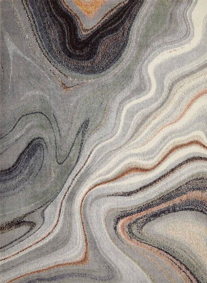 Concept Looms Nourison Amara Sage Grey AMA104 Vloerkleed 120 x 170 cm Grijs Rectangular Polyester Woonkamer Abstract Design Eclectisch Modern