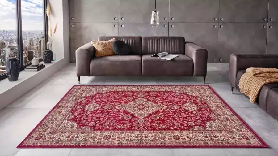 Nouristan Perzisch tapijt Zahra rood 120x170 cm - Foto 3