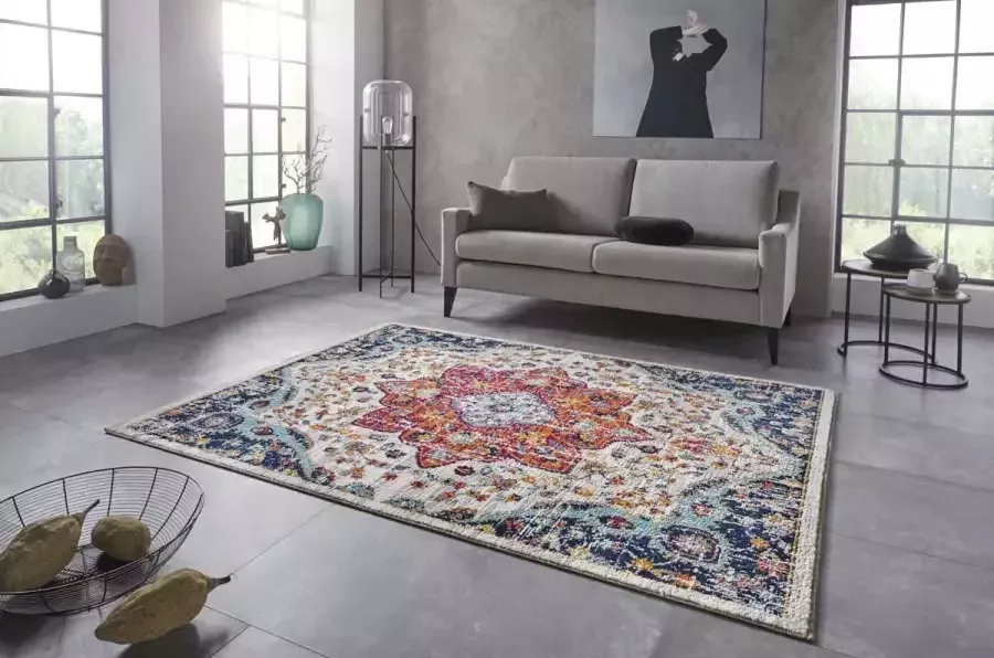 Nouristan Vintage vloerkleed Bara meerkleurig 200x290 cm