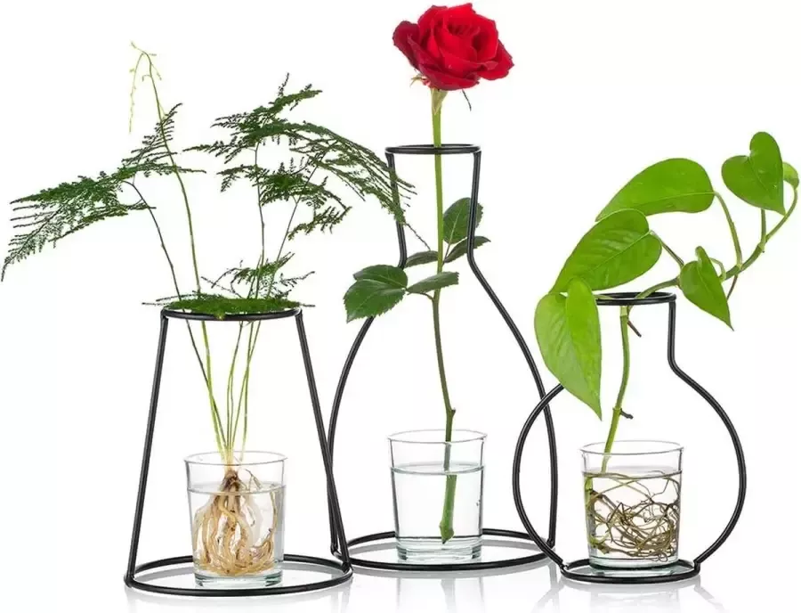 Nuptio Set van 3 creatieve bloempotten voor het bureau met glazen bekers vazen en metalen standaard van ijzer voor waterplanten bloemstukken decoratie (3 stuks)