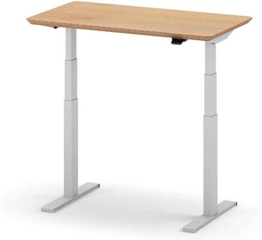 Oakywood Standing Desk Pro Mini