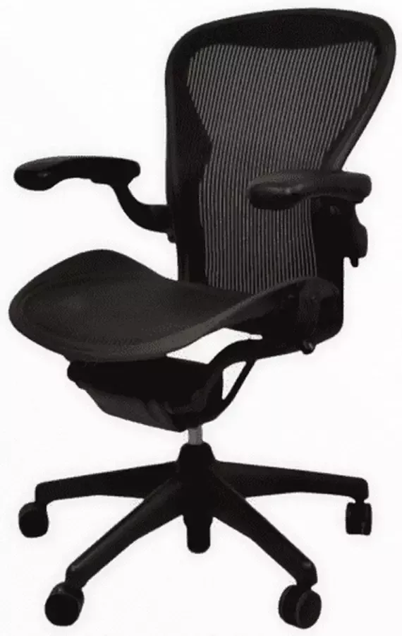 Offeco Herman Miller Aeron