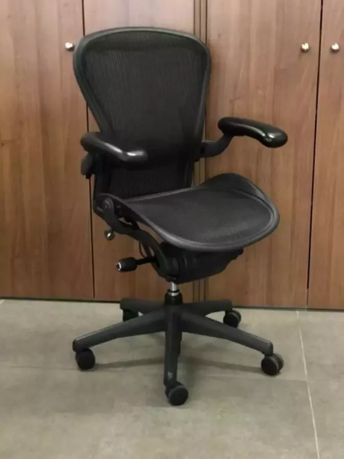 Offeco Herman Miller Aeron Lumbar support - Foto 1