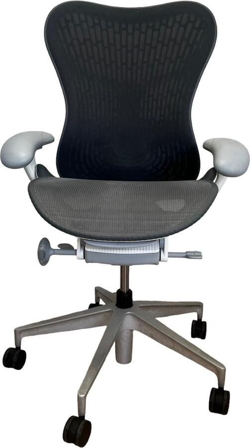 Offeco Herman Miller Mirra 2 grey white Bureaustoel Full Option