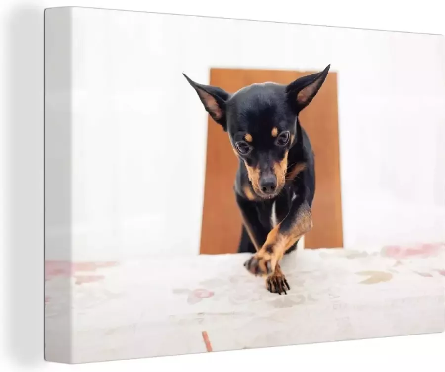 OneMillionCanvasses Canvas Schilderij Een Dwergpinscher zit aan de eettafel 120x80 cm Wanddecoratie