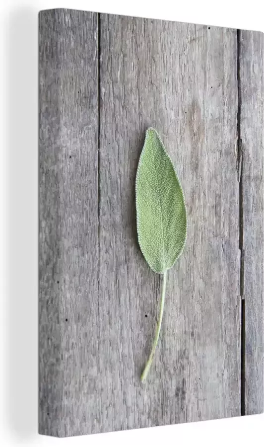 OneMillionCanvasses Canvas Schilderij Een salie blad op een houten tafel 40x60 cm Wanddecoratie