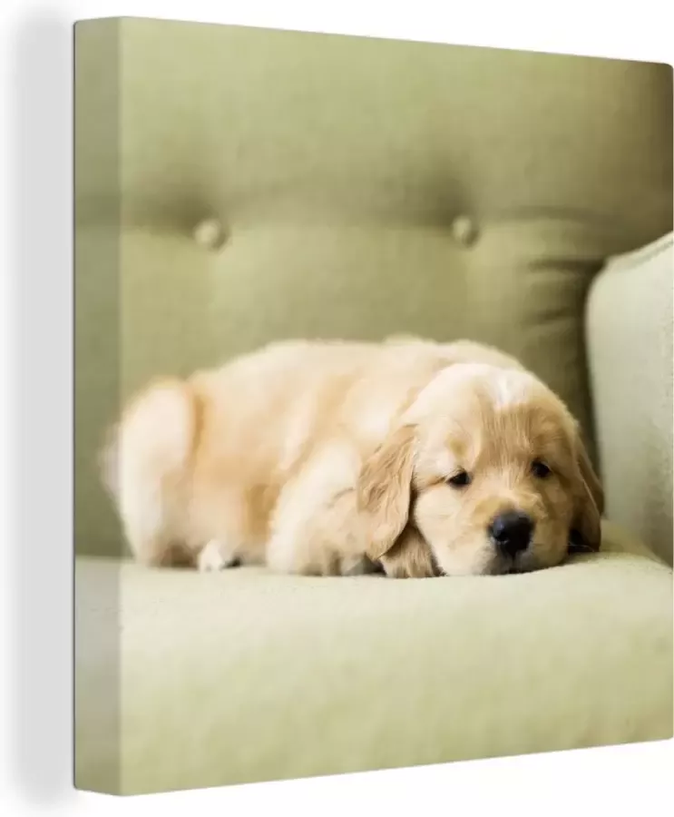 OneMillionCanvasses Canvas Schilderij Een slapende Golden Retriever puppy op de bank 50x50 cm Wanddecoratie