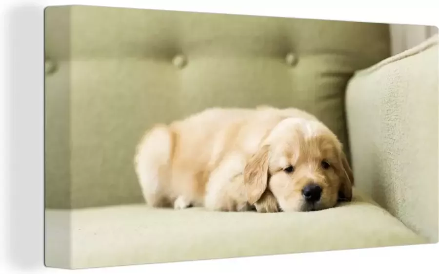 OneMillionCanvasses Canvas Schilderij Een slapende Golden Retriever puppy op de bank 80x40 cm Wanddecoratie