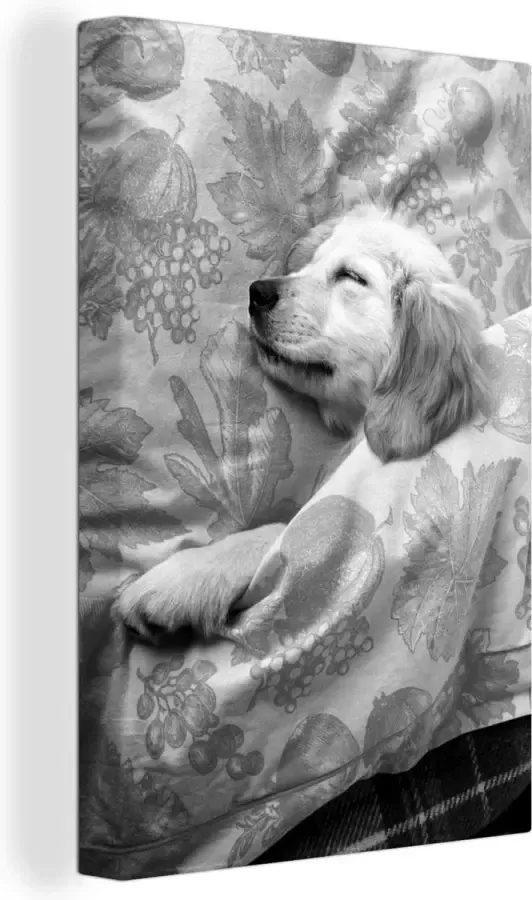 OneMillionCanvasses Canvas Schilderij Golden retriever pup ligt op bed zwart wit 120x180 cm Wanddecoratie XXL