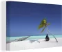 OneMillionCanvasses Canvas Schilderij Hangmat Palmboom Strand 30x20 cm Wanddecoratie - Thumbnail 1