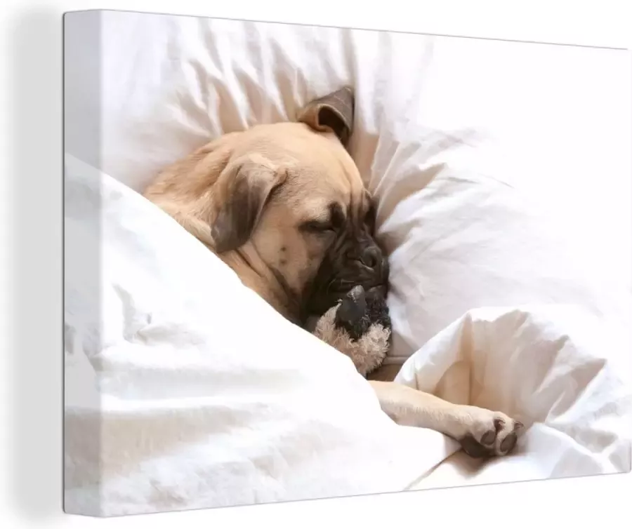 OneMillionCanvasses Canvas Schilderij Hond slaapt in bed met een knuffel 120x80 cm Wanddecoratie