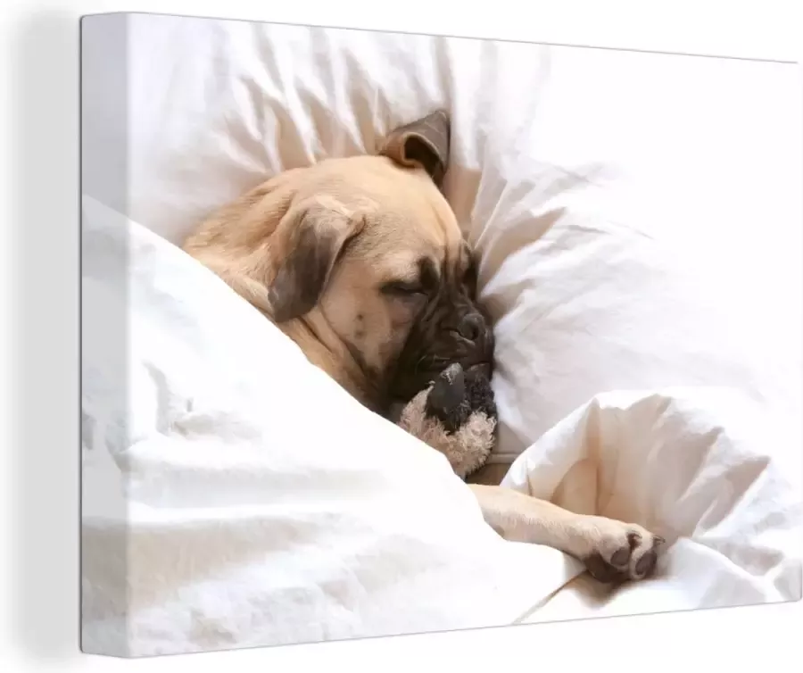 OneMillionCanvasses Canvas Schilderij Hond slaapt in bed met een knuffel 30x20 cm Wanddecoratie