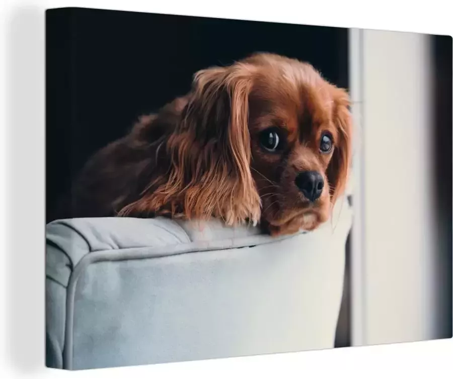 OneMillionCanvasses Canvas Schilderij Hond Stoel Kop 90x60 cm Wanddecoratie