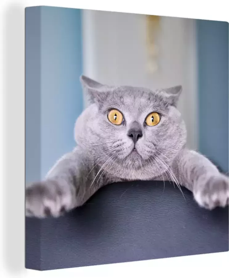 OneMillionCanvasses Canvas Schilderij Kat Bang Stoel 20x20 cm Wanddecoratie