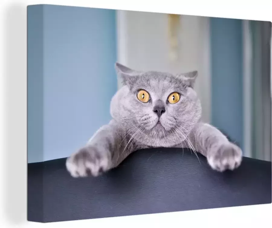OneMillionCanvasses Canvas Schilderij Kat Bang Stoel 30x20 cm Wanddecoratie